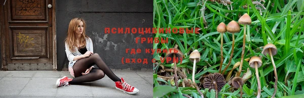 соль курить ск Аркадак